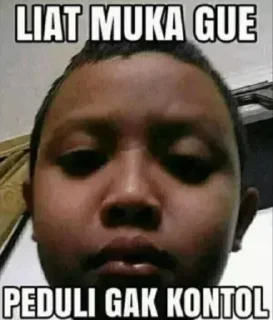 ew dsr pikmi