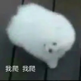 垃圾烧烤摊