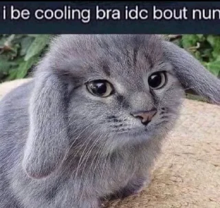 🆒 ddd, Telegram sticker 16 of 103