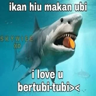 😽 agar hidup lebih berwarna, Telegram sticker 7 of 33