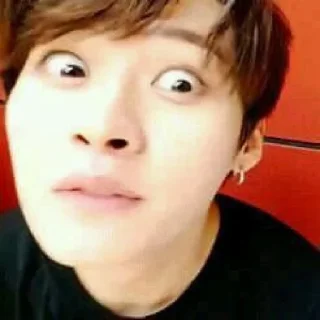 🐱 MinHo Being MinHo, sticker Telegram 20 sur 67