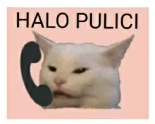 😂 Mori's Fav Vol 2, стікер Telegram 22 з 38