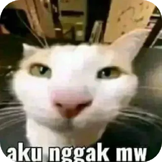 😗 nyenye : @numaAsawako, sticker Telegram 7 sur 35