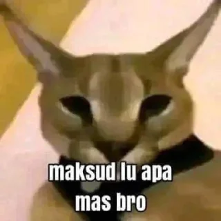 🥶 santai dulu nggak sih 😁, стікер Telegram 19 з 110