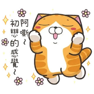 🥰 白爛貓信息貼圖, sticker Telegram 24 sur 24