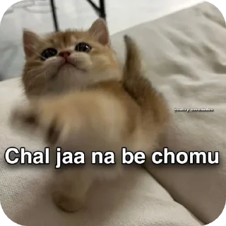 🐱 @Himanshu_thakur_ji, стікер Telegram 10 з 55