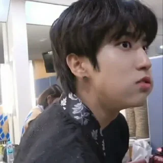🌰 ꒰han jisung꒱⛩彡 @sejarahujan, Telegram sticker 7 of 55