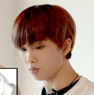 🐹 Park Jisung ／ @spoiledkids, Telegram sticker 24 of 57