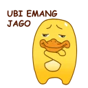 Its Me,  Ubi !!!
