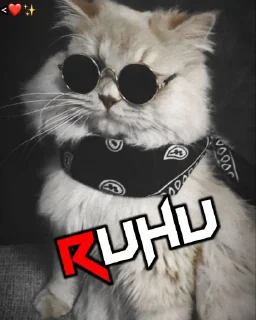 💜 KANO-RUHANI, стікер Telegram 9 з 38