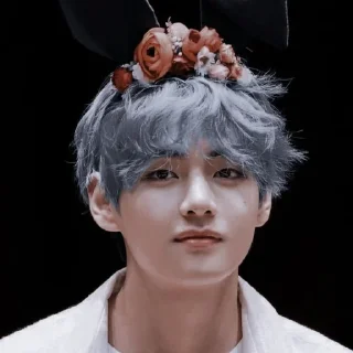 🐻 ﾟ*❁ ꒰ tαεhyυng ꒱ ✿*ﾟ@stiker_kth, стикер Telegram 19 из 60