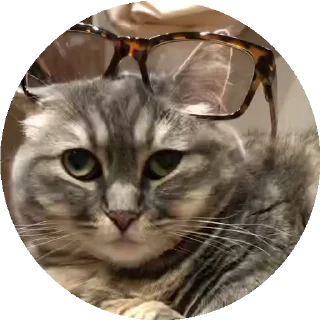 🤓 все стикеры тут: @stickersde, стикер Telegram 16 из 37