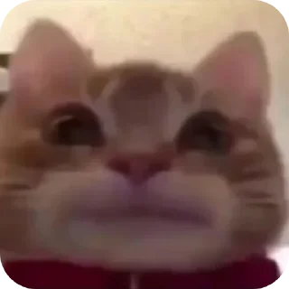 🤳 yaya, sticker Telegram 21 sur 77