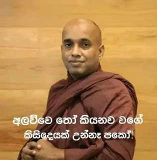 🌸 අලව්ව, стикер Telegram 7 из 26