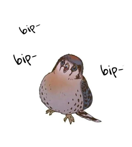🐦 Sticker from Randoms I