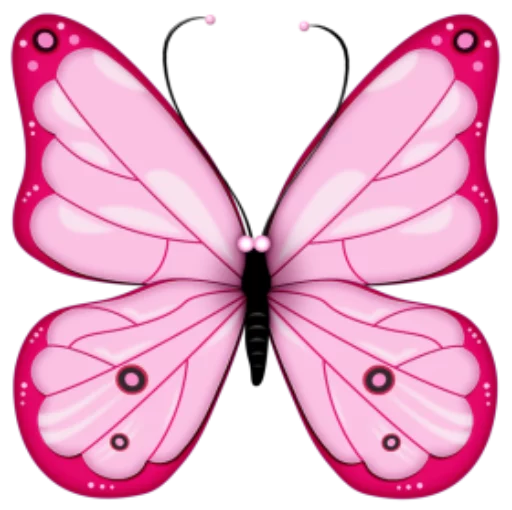 🐝 Sticker from Butterfly