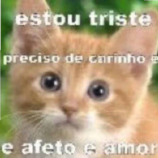 🥺 Sticker #11 from não sei se