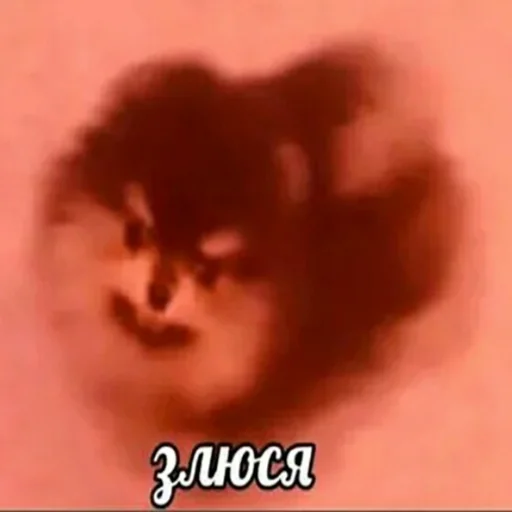 😡 Sticker #7 from 🗿все важное в одном стикерпаке🗿