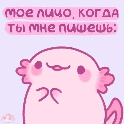 🥺 Sticker from котики @diiinnnneeen