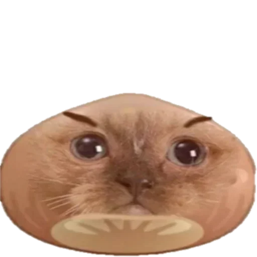 😠 Sticker #13 from The best sticker pack by @Moped1337