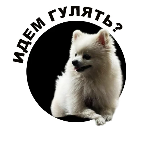 😄 Sticker #13 from Муркинский движ