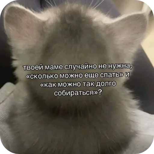 👍 Sticker #17 from Миу