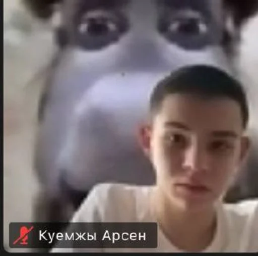 🌟 Sticker #1 from пон