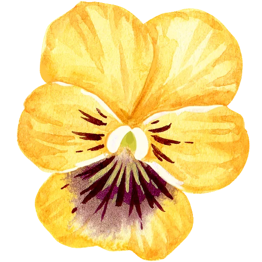 🌼 Sticker #6 from Plants by juli