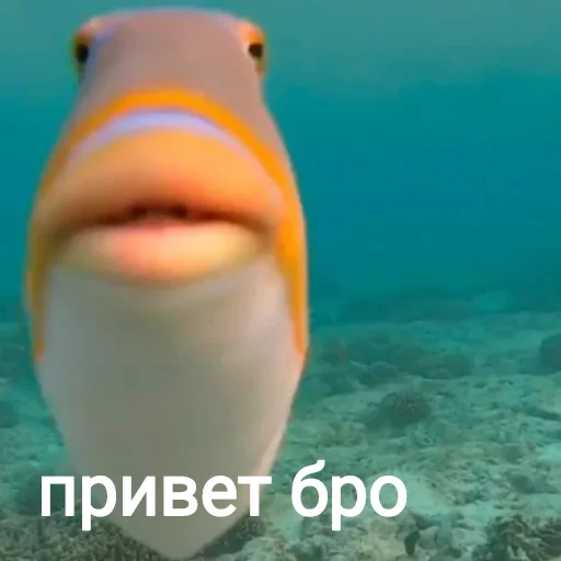 👋 Sticker #12 from Настя