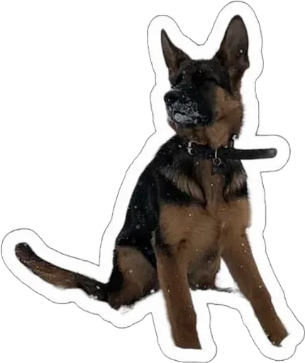 🌟 Sticker from Gerda_dog🐺