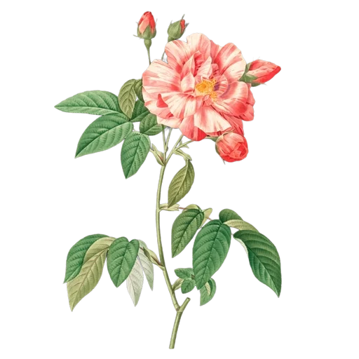 🌟 Sticker from Retro flowers