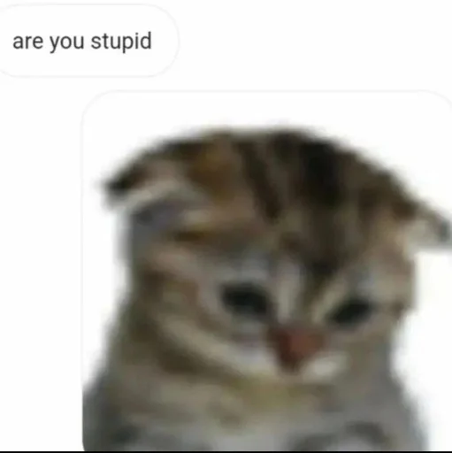 😡 Sticker from <°meowy°>