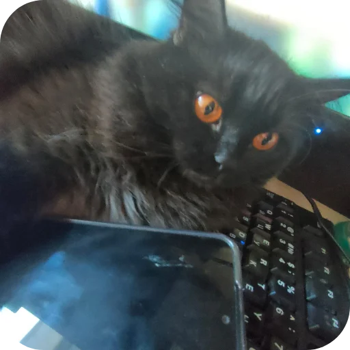 🐱 Sticker #7 from даня дал юле