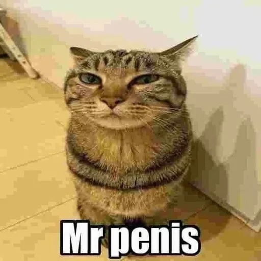 🤔 Sticker from Mr penis @hessfireinfire