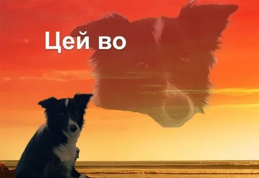 🥺 Sticker #12 from Меми українською