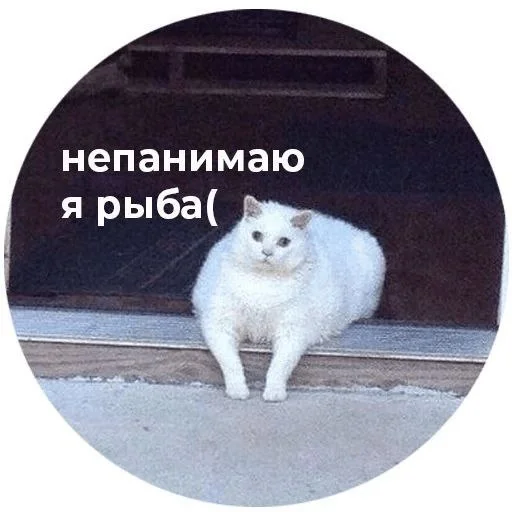 😐 Sticker from смешно =)