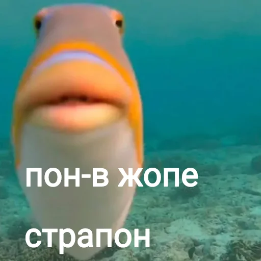 😡 Sticker #5 from Настя