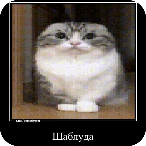 🔳 Sticker #6 from Марьям моя жена