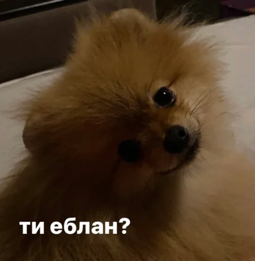 ❓ Sticker #21 from лил бичь