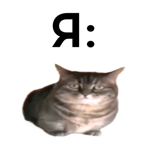🥵 Sticker #3 from кокоа вахуи от - @cocoa_vahui