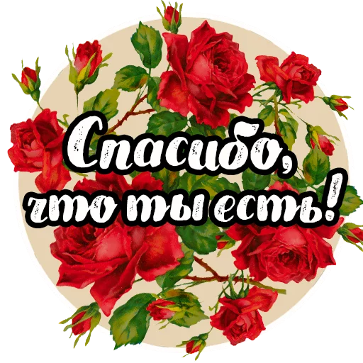 β€ Sticker #4 from Roses