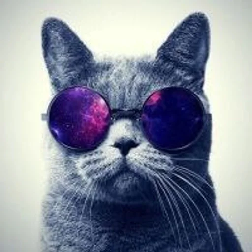 😼 Sticker from Хороший