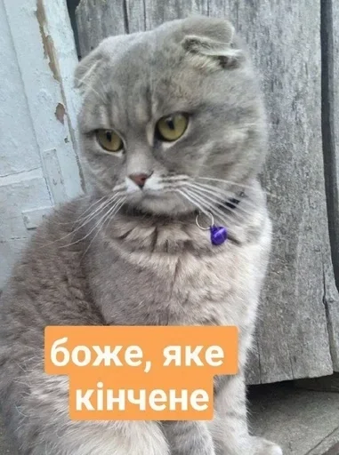 😾 Sticker from Рисік