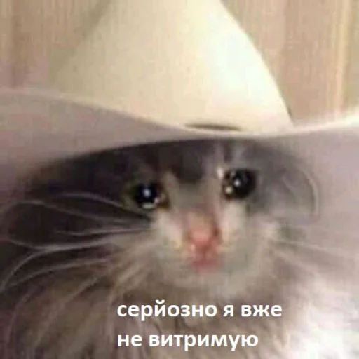 😭 Sticker #17 from я раб жені