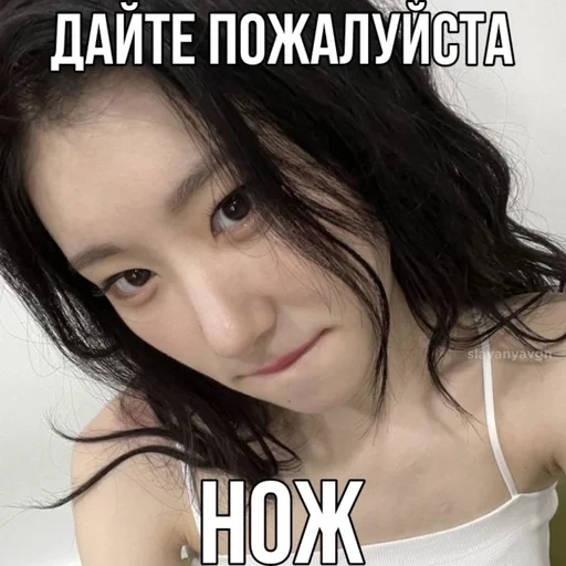 🌟 Sticker from черён 🐩 @slavanyavgn