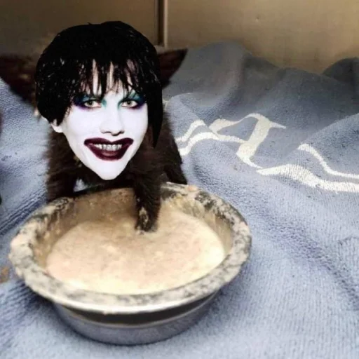 🍲 Sticker from goth tv