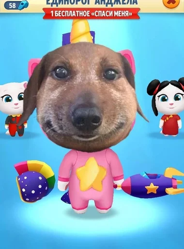 🐶 Sticker from ЕБАНУТАЯ СОБАКА