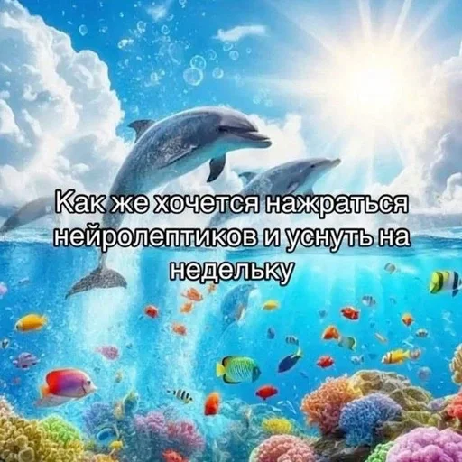 🥲 Sticker from Ролексы