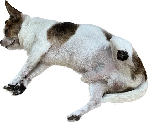 😴 Sticker from чебок