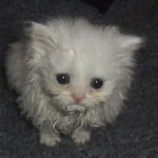 😔 Sticker from для души 1.1